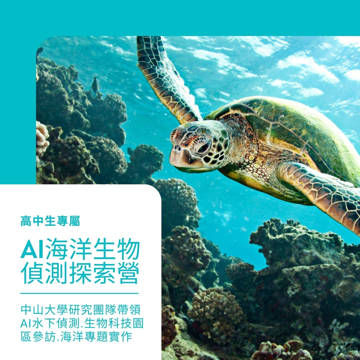 2026寒假 海洋生物偵測 AI 探索營(中山大學)
